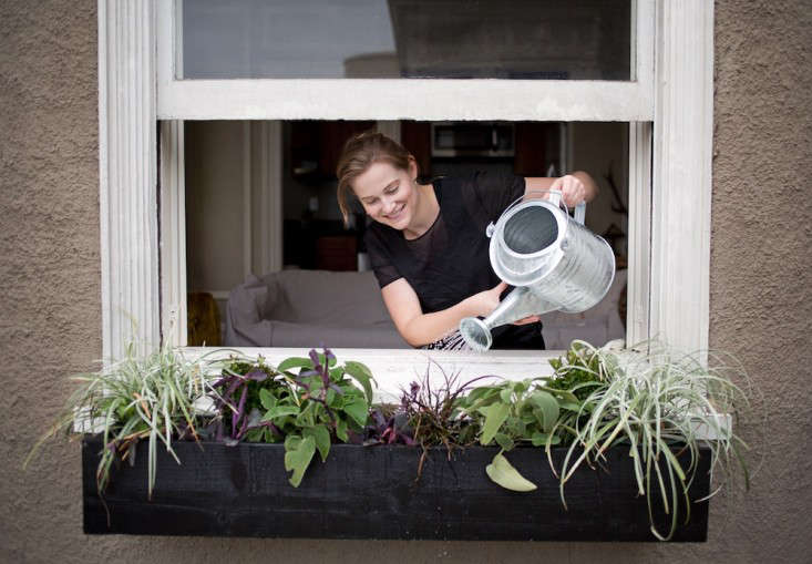 Contributor Meredith Swinehart waters her window box garden with a galvanized watering can. Photograph by Liesa Johannssen for Gardenista, from Container Gardens: 5 Tips for a Perfect Window Box.